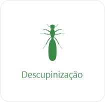 DESCUPINIZAÇÃO  