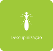 DESCUPINIZAÇÃO  